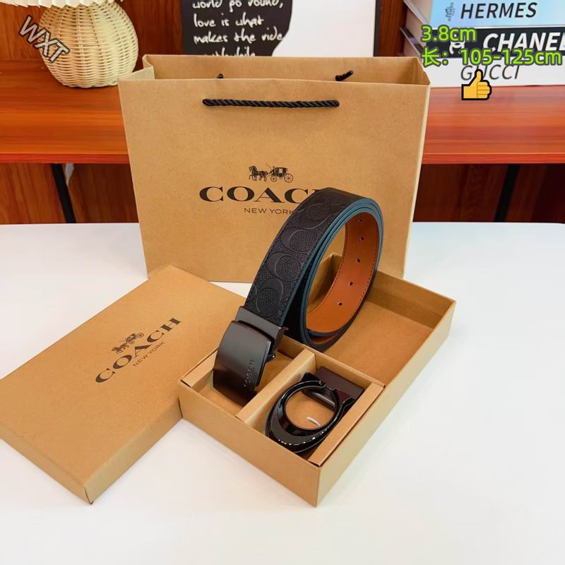 Coach belt 38mmX105-125cm 8L15